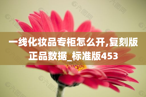 一线化妆品专柜怎么开,复刻版正品数据_标准版453