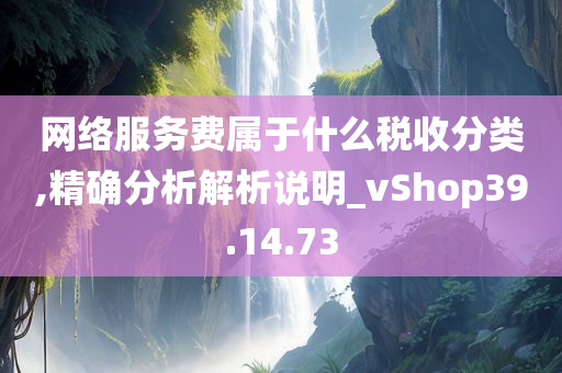 网络服务费属于什么税收分类,精确分析解析说明_vShop39.14.73