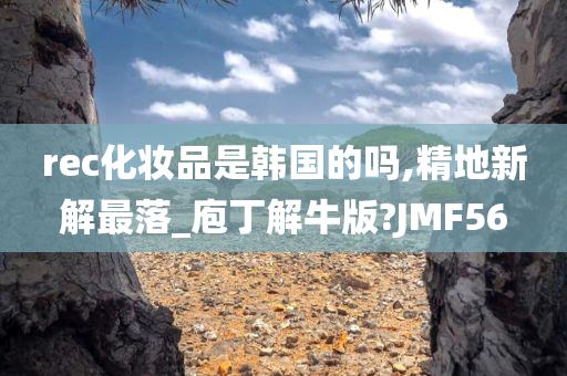 rec化妆品是韩国的吗,精地新解最落_庖丁解牛版?JMF56