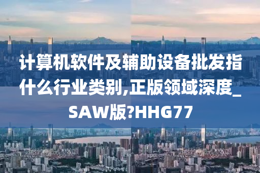 计算机软件及辅助设备批发指什么行业类别,正版领域深度_SAW版?HHG77