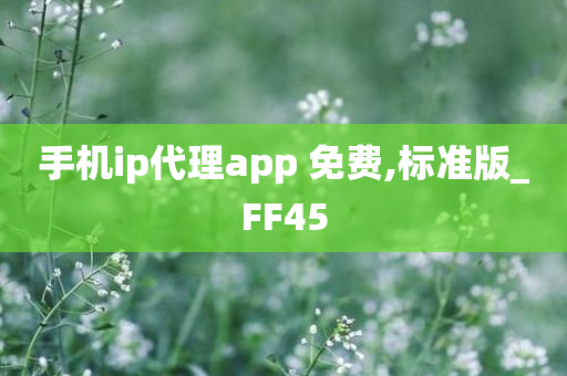 手机ip代理app 免费,标准版_FF45