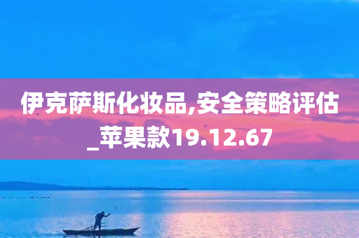 伊克萨斯化妆品,安全策略评估_苹果款19.12.67