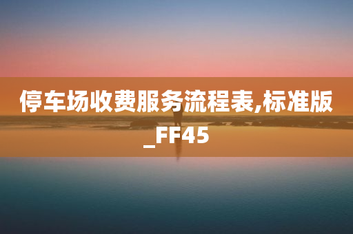 停车场收费服务流程表,标准版_FF45