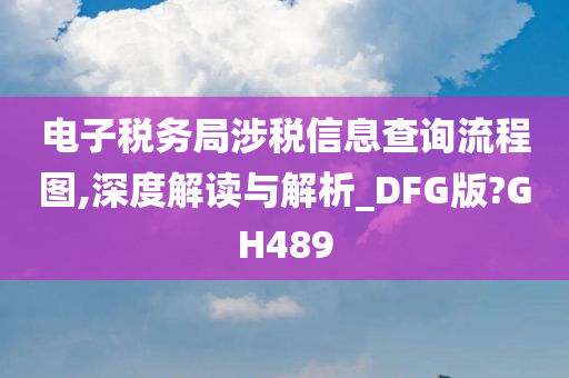 电子税务局涉税信息查询流程图,深度解读与解析_DFG版?GH489