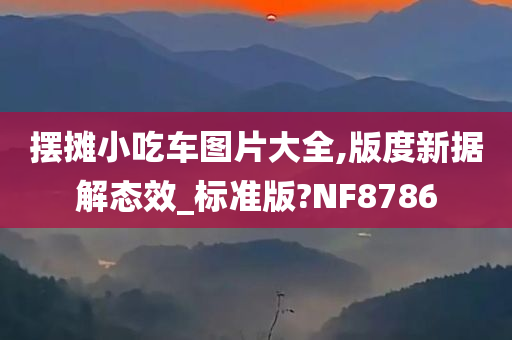 摆摊小吃车图片大全,版度新据解态效_标准版?NF8786