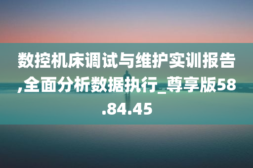 数控机床调试与维护实训报告,全面分析数据执行_尊享版58.84.45