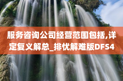 服务咨询公司经营范围包括,详定复义解总_排忧解难版DFS4