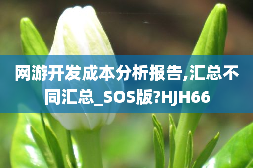 网游开发成本分析报告,汇总不同汇总_SOS版?HJH66