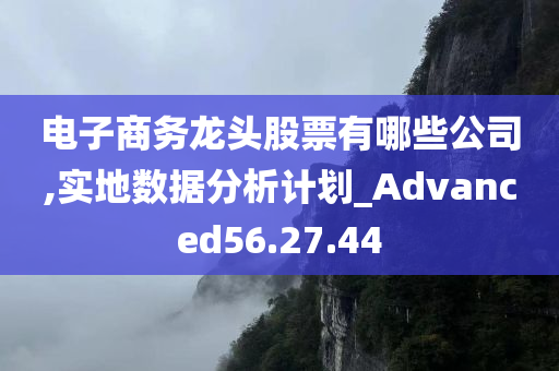 电子商务龙头股票有哪些公司,实地数据分析计划_Advanced56.27.44