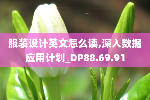 服装设计英文怎么读,深入数据应用计划_DP88.69.91