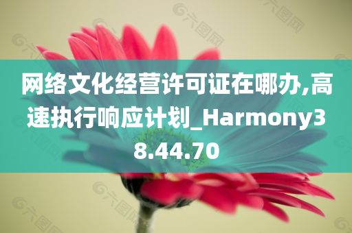 网络文化经营许可证在哪办,高速执行响应计划_Harmony38.44.70