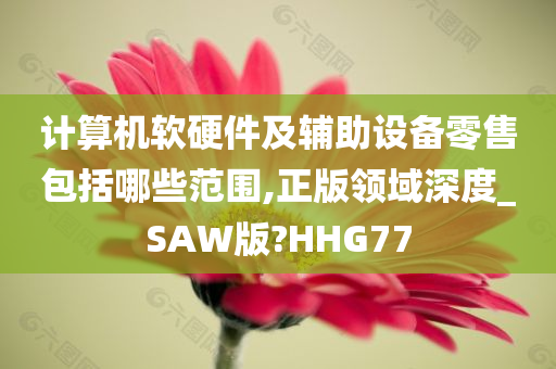 计算机软硬件及辅助设备零售包括哪些范围,正版领域深度_SAW版?HHG77