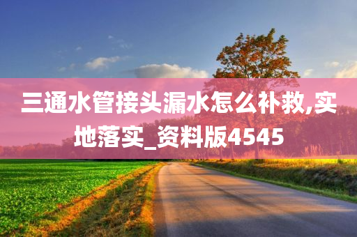 三通水管接头漏水怎么补救,实地落实_资料版4545