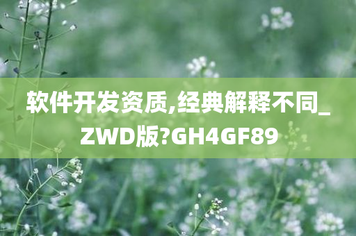 软件开发资质,经典解释不同_ZWD版?GH4GF89