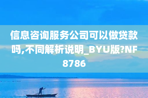 信息咨询服务公司可以做贷款吗,不同解析说明_BYU版?NF8786