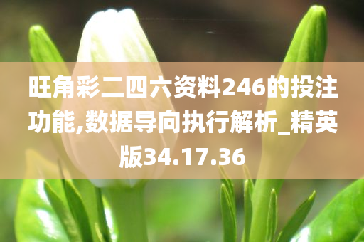 旺角彩二四六资料246的投注功能,数据导向执行解析_精英版34.17.36