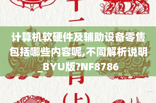 计算机软硬件及辅助设备零售包括哪些内容呢,不同解析说明_BYU版?NF8786