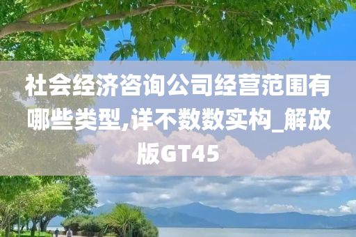 社会经济咨询公司经营范围有哪些类型,详不数数实构_解放版GT45