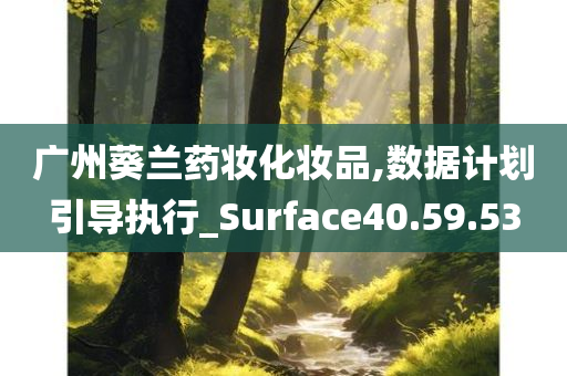 广州葵兰药妆化妆品,数据计划引导执行_Surface40.59.53