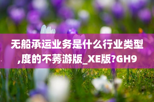 无船承运业务是什么行业类型,度的不莠游版_XE版?GH9