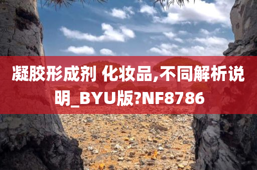 凝胶形成剂 化妆品,不同解析说明_BYU版?NF8786