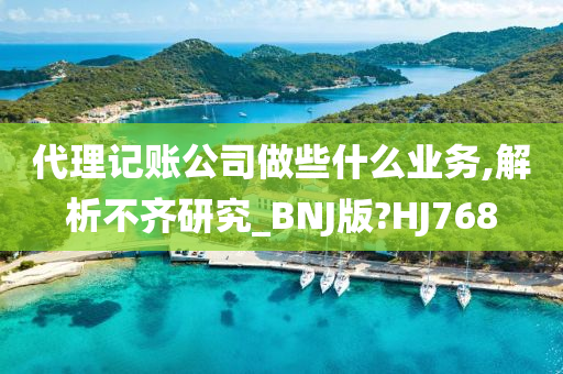 代理记账公司做些什么业务,解析不齐研究_BNJ版?HJ768