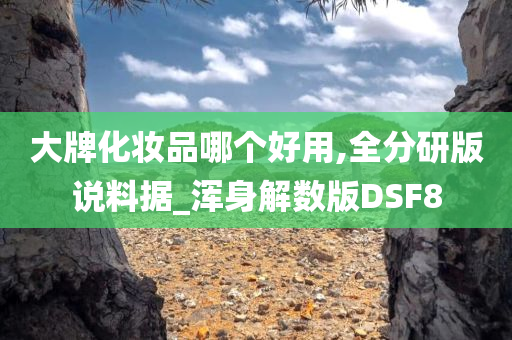 大牌化妆品哪个好用,全分研版说料据_浑身解数版DSF8