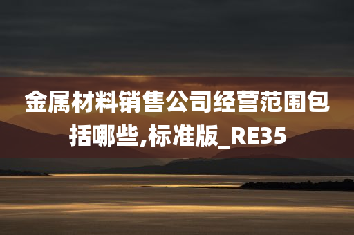 金属材料销售公司经营范围包括哪些,标准版_RE35