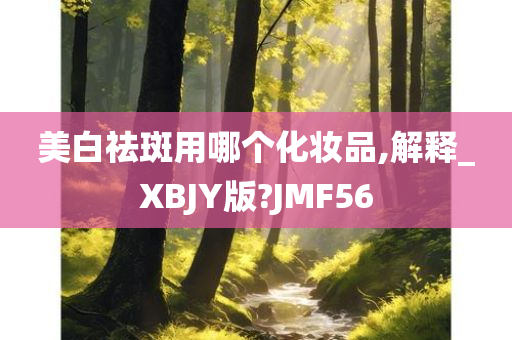 美白祛斑用哪个化妆品,解释_XBJY版?JMF56