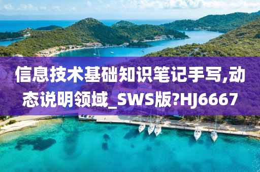 信息技术基础知识笔记手写,动态说明领域_SWS版?HJ6667