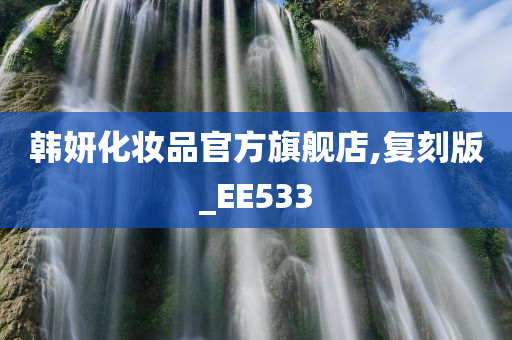 韩妍化妆品官方旗舰店,复刻版_EE533