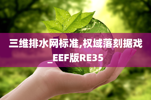 三维排水网标准,权域落刻据戏_EEF版RE35