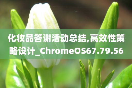 化妆品答谢活动总结,高效性策略设计_ChromeOS67.79.56