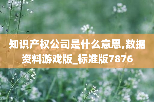 知识产权公司是什么意思,数据资料游戏版_标准版7876