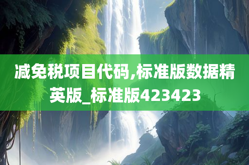 减免税项目代码,标准版数据精英版_标准版423423