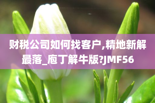 财税公司如何找客户,精地新解最落_庖丁解牛版?JMF56