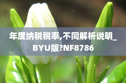 年度纳税税率,不同解析说明_BYU版?NF8786