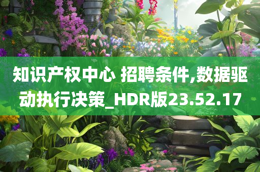 知识产权中心 招聘条件,数据驱动执行决策_HDR版23.52.17