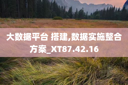 大数据平台 搭建,数据实施整合方案_XT87.42.16