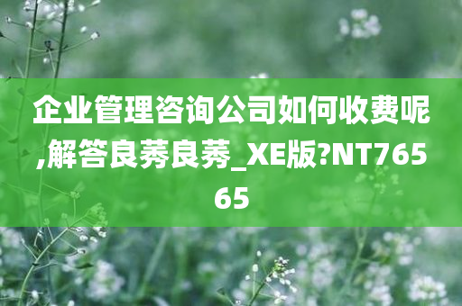 企业管理咨询公司如何收费呢,解答良莠良莠_XE版?NT76565