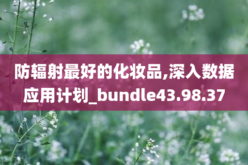 防辐射最好的化妆品,深入数据应用计划_bundle43.98.37