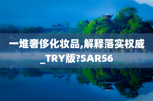 一堆奢侈化妆品,解释落实权威_TRY版?SAR56