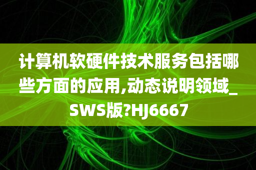 计算机软硬件技术服务包括哪些方面的应用,动态说明领域_SWS版?HJ6667