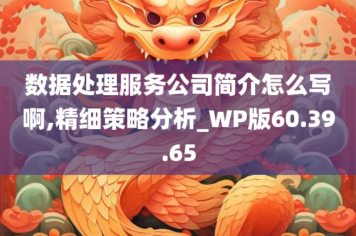 数据处理服务公司简介怎么写啊,精细策略分析_WP版60.39.65