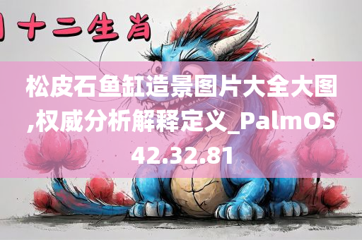 松皮石鱼缸造景图片大全大图,权威分析解释定义_PalmOS42.32.81