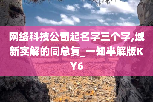 网络科技公司起名字三个字,域新实解的同总复_一知半解版KY6