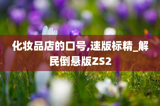 化妆品店的口号,速版标精_解民倒悬版ZS2