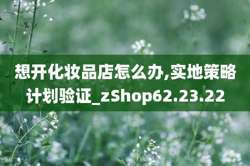 想开化妆品店怎么办,实地策略计划验证_zShop62.23.22