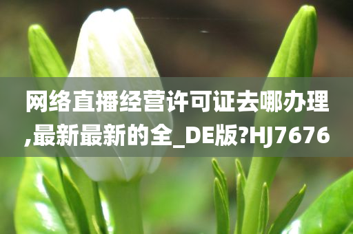 网络直播经营许可证去哪办理,最新最新的全_DE版?HJ7676