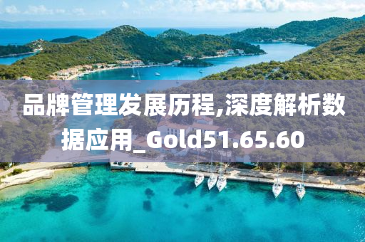 品牌管理发展历程,深度解析数据应用_Gold51.65.60